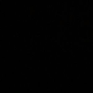 Meet your Posher, Abigail